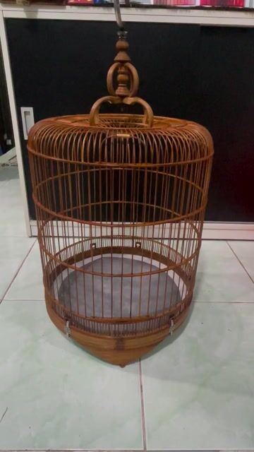 Lồng chim choè than 64nan. Mua bán Phụ kiện, Thức ăn, Dịch vụ tại Quận Tân Phú Tp Hồ Chí Minh được đăng bởi bim bim hình 1