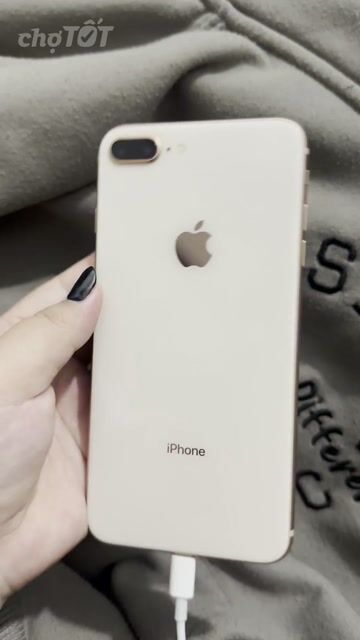 iPhone 8 Plus 64GB Vàng hồng Like New. Mua bán Điện thoại tại Quận Bình Thuỷ Cần Thơ được đăng bởi Nguyễn Trinh hình 1