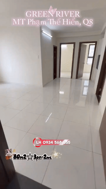 Mua bán Căn hộ Chung cư Green River - Quận 8 Quận 8 Tp Hồ Chí Minh diện tích 80 m² giá 3,25 tỷ