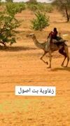 بيري تلي