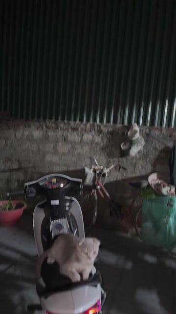 Hậu audi wave 110. Mua bán Phụ tùng xe tại Quận Hoàng Mai Hà Nội được đăng bởi Đào Hưng hình 1