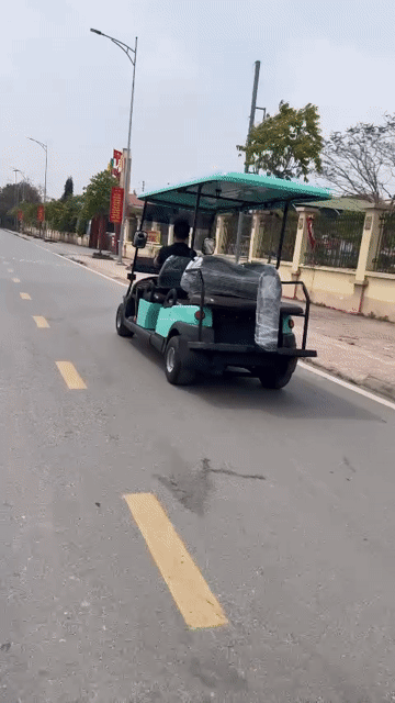 Xe điện Tùng Lâm IC1266A Xanh ngọc. Mua bán Phương tiện khác tại Thành phố Phú Quốc Kiên Giang được đăng bởi Thế Vũ hình 1