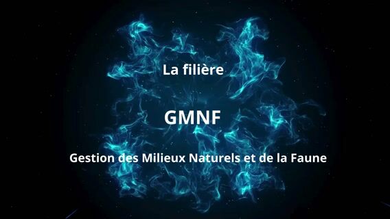 La gestion des milieux naturels et de la faune : une formation 100% nature sur la côte basque