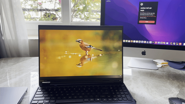 Acer Predator Helios neo 16 AI I9/ rtx 5070ti. Mua bán Laptop tại Quận Gò Vấp Tp Hồ Chí Minh được đăng bởi Phước Phạm hình 1