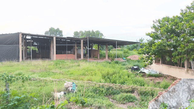 Cho thuê Văn phòng, Mặt bằng kinh doanh Huyện Hóc Môn Tp Hồ Chí Minh diện tích 4000 m² giá 50 triệu/tháng