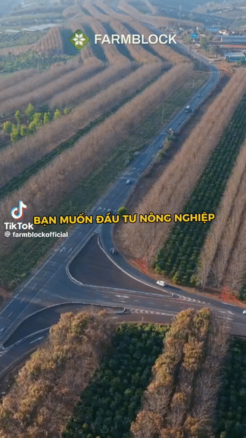 Mua bán Đất Quận Bình Thạnh Tp Hồ Chí Minh diện tích 1000 m² giá 210 triệu