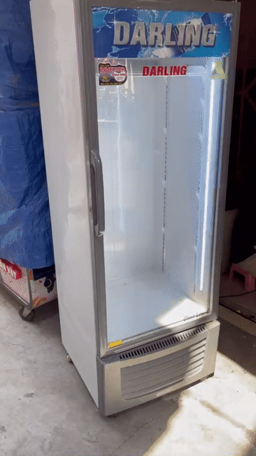 Tủ mát Darling DL-5000A3 Còn mới. Mua bán Tủ lạnh tại Quận 11 Tp Hồ Chí Minh được đăng bởi Kỳ Anh hình 1