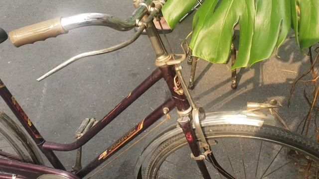 Xe đạp Phượng Hoàng Forever Cổ điển. Mua bán Xe đạp tại Quận 7 Tp Hồ Chí Minh được đăng bởi Nguyễn Quốc Việt hình 1