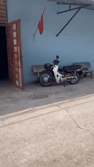 Cho thuê Văn phòng, Mặt bằng kinh doanh Huyện Hóc Môn Tp Hồ Chí Minh diện tích 330 m² giá 10 triệu/tháng