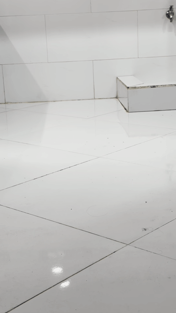 Cho thuê Phòng trọ Quận 7 Tp Hồ Chí Minh diện tích 20 m² giá 3,8 triệu/tháng