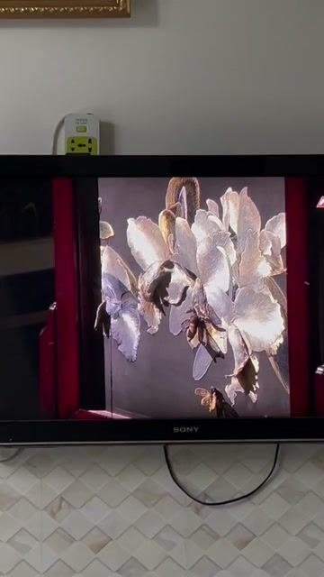 Tivi Sony 43 inch Đã sử dụng. Mua bán Tivi, Âm thanh tại Quận Bình Tân Tp Hồ Chí Minh được đăng bởi trang ngọc hình 1