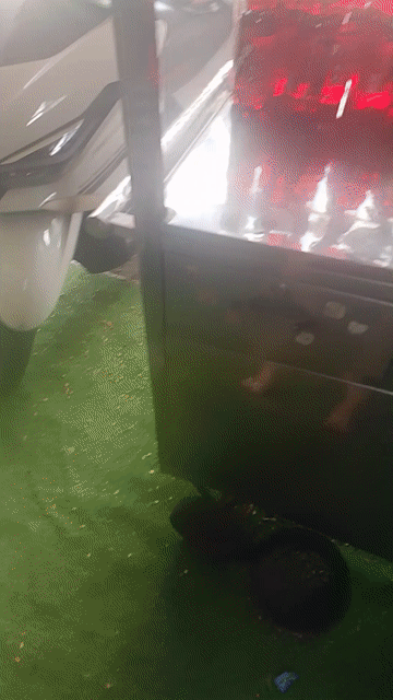 Cho thuê Văn phòng, Mặt bằng kinh doanh KCN Tân Tạo Quận Bình Tân Tp Hồ Chí Minh diện tích 28 m² giá 9 triệu/tháng