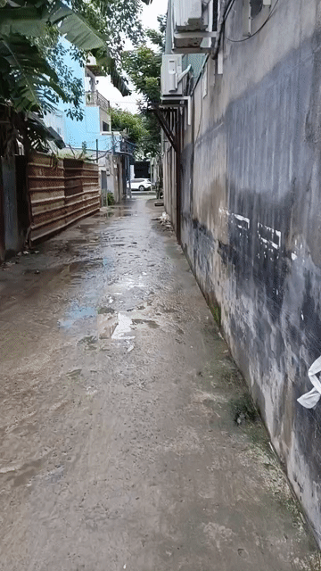 Mua bán Đất Quận 7 Tp Hồ Chí Minh diện tích 118 m² giá 8,55 tỷ