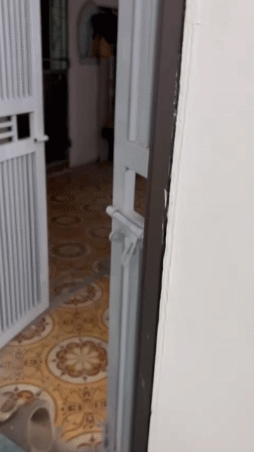 Cho thuê Căn hộ Chung cư Quận Đống Đa Hà Nội diện tích 60 m² giá 6 triệu/tháng