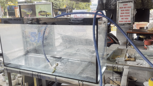Bể cá cảnh Kính 8 li 1m Đã qua sử dụng. Mua bán Phụ kiện, Thức ăn, Dịch vụ tại Thành phố Rạch Giá Kiên Giang được đăng bởi Khuong Duy Nguyen hình 1