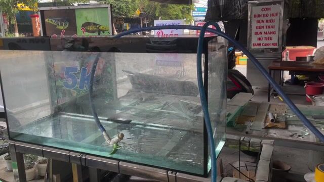 Bể cá cảnh Kính 8 li 1m Đã qua sử dụng. Mua bán Phụ kiện, Thức ăn, Dịch vụ tại Thành phố Rạch Giá Kiên Giang được đăng bởi Khuong Duy Nguyen hình 1