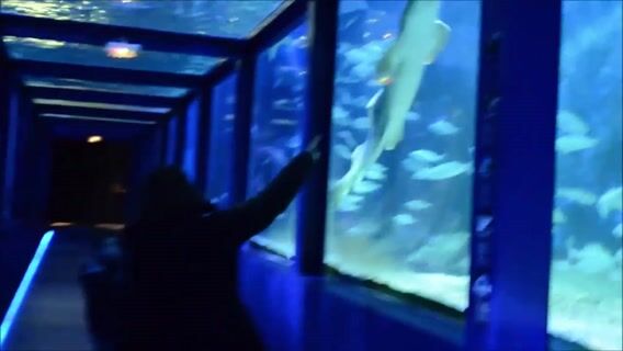 Comme un poisson dans l'eau