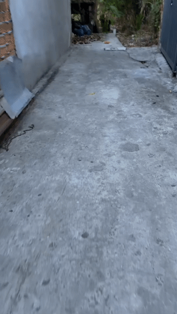 Mua bán Đất Thành phố Mỹ Tho Tiền Giang diện tích 63 m² giá 630 triệu