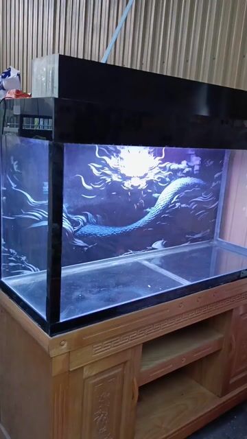 Bể cá cảnh 1m1 kính 8mm. Mua bán Phụ kiện, Thức ăn, Dịch vụ tại Thị xã Phú Mỹ Bà Rịa - Vũng Tàu được đăng bởi Hồ lướt thanh lý  hình 1
