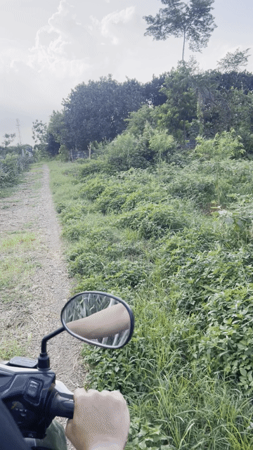 Mua bán Đất Thành phố Tam Điệp Ninh Bình diện tích 1200 m² giá 600 triệu