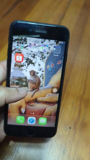 Apple iPhone SE 2020 mỹ nguyên zin. Mua bán Điện thoại tại Thành phố Đà Lạt Lâm Đồng được đăng bởi Bi Ph hình 1