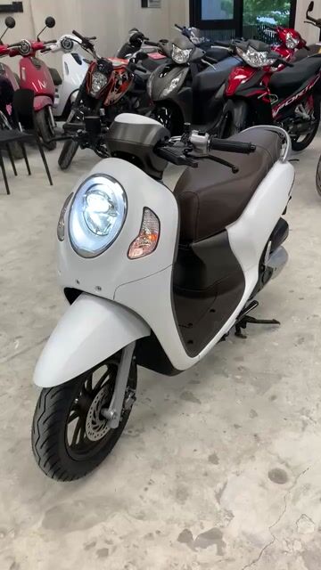 🔥Honda Scoopy Nhập Indo 2024 Trắng Nhám Bao Hồ Sơ. Mua bán Xe máy tại Thành phố Thủ Đức Tp Hồ Chí Minh được đăng bởi iMotorbike Khương Phan hình 1