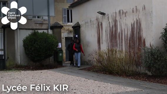 Seconde Professionnelle ABIL