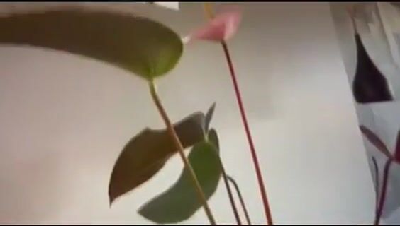 Faire de vos rêves une réalité: Architecte d'intérieur