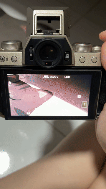 Máy ảnh Fujifilm X-T200 Vàng đồng, Đen. Mua bán Máy ảnh, Máy quay tại Thành phố Thủ Đức Tp Hồ Chí Minh được đăng bởi Hà Đạt hình 1