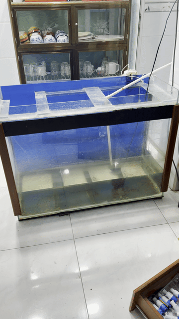 Bể cá kính 1m trong suốt. Mua bán Phụ kiện, Thức ăn, Dịch vụ tại Huyện Hóc Môn Tp Hồ Chí Minh được đăng bởi ANH DŨNG  hình 1
