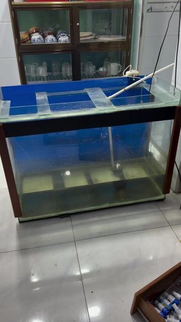 Bể cá kính 1m trong suốt. Mua bán Phụ kiện, Thức ăn, Dịch vụ tại Huyện Hóc Môn Tp Hồ Chí Minh được đăng bởi ANH DŨNG  hình 1