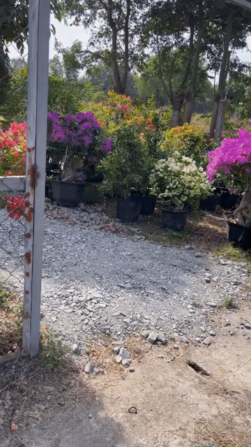 Cho thuê Nhà ở Huyện Nhơn Trạch Đồng Nai diện tích 100 m² giá 4 triệu/tháng