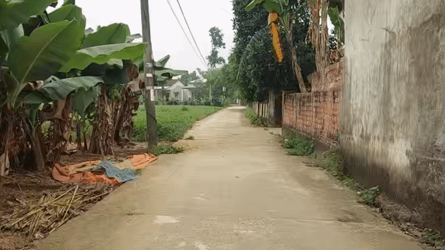 Mua bán Đất Huyện Hòa Vang Đà Nẵng diện tích 550 m² giá 750 triệu
