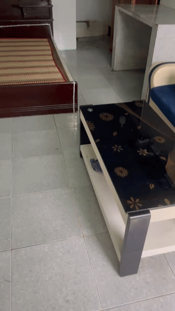 Cho thuê Phòng trọ Huyện Củ Chi Tp Hồ Chí Minh diện tích 15 m² giá 1,2 triệu/tháng