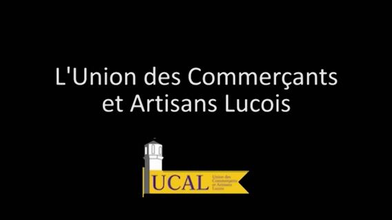 Les commerçants et artisans lucois font leur film : Le métier de fleuriste