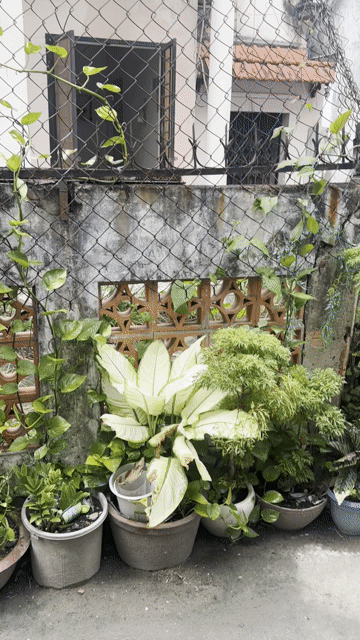 Mua bán Đất Thành phố Thủ Đức Tp Hồ Chí Minh diện tích 143 m² giá 11,4 tỷ