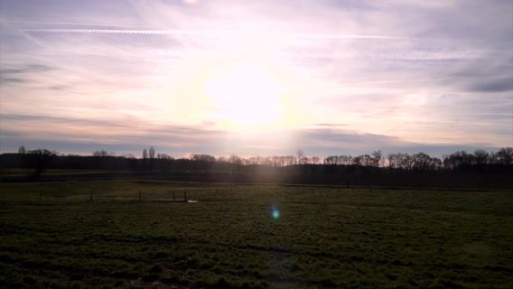 Le quotidien d'une chef d'exploitation en polyculture élevage