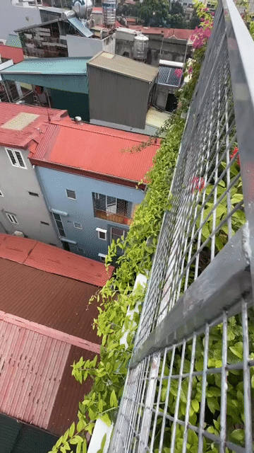 Cho thuê Văn phòng, Mặt bằng kinh doanh Quận Long Biên Hà Nội diện tích 35 m² giá 10 triệu/tháng