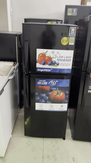 Tủ lạnh LG 181 lít Đen lạnh nhanh nhẹ điện⭐️. Mua bán Tủ lạnh tại Quận Bình Tân Tp Hồ Chí Minh được đăng bởi Điện Lạnh Gia Việt Quận Bình Tân hình 1