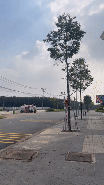 Mua bán Đất Century City Huyện Long Thành Đồng Nai diện tích 110 m² giá 2 tỷ