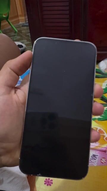 Apple iPhone 13 Pro Max 256GB Nguyên zin. Mua bán Điện thoại tại Huyện Quỳnh Phụ Thái Bình được đăng bởi viet hieu hình 1