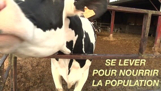 Se Lever pour nourrir la population