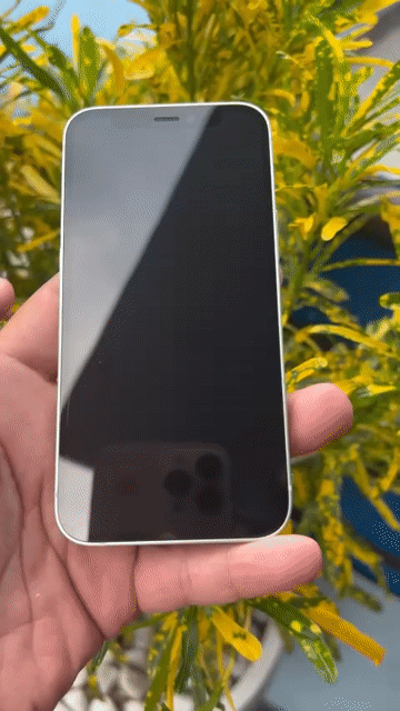 Apple iPhone 12 mini 128GB Xanh lá mới 99%. Mua bán Điện thoại tại Thành phố Thủ Đức Tp Hồ Chí Minh được đăng bởi TN 501 hình 1