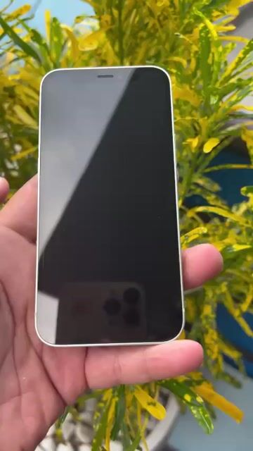 Apple iPhone 12 mini 128GB Xanh lá mới 99%. Mua bán Điện thoại tại Thành phố Thủ Đức Tp Hồ Chí Minh được đăng bởi TN 501 hình 1