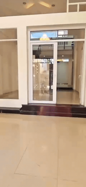 Cho thuê Nhà ở Thành phố Buôn Ma Thuột Đắk Lắk diện tích 315 m² giá 11,99 triệu/tháng
