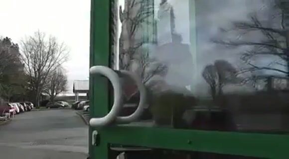 Formation Horticole, ma piste d'envol !