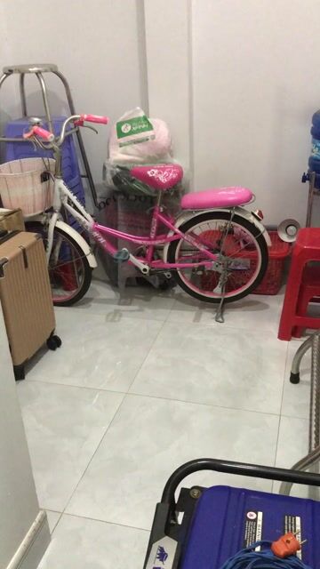 Xe đạp SMN Bike Nữ 22 inch. Mua bán Xe đạp tại Huyện Nhà Bè Tp Hồ Chí Minh được đăng bởi LÊ VĂN GIÀU hình 1