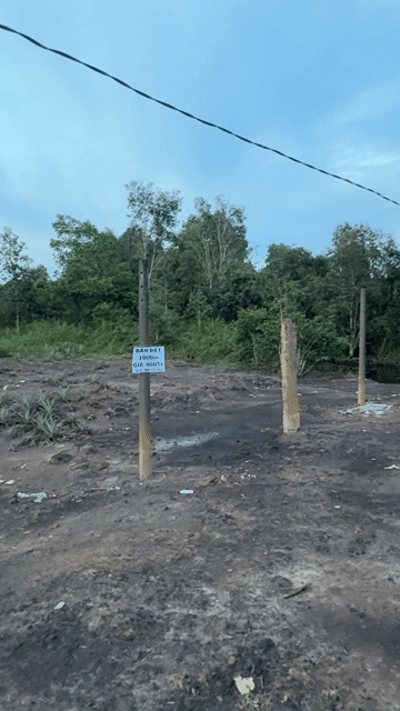 Mua bán Đất Huyện Bình Chánh Tp Hồ Chí Minh diện tích 1000 m² giá 850 triệu