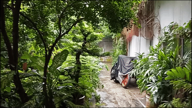 Cho thuê Phòng trọ Quận Tây Hồ Hà Nội diện tích 32 m² giá 3 triệu/tháng