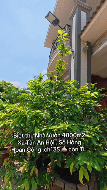 Mua bán Nhà ở Huyện Củ Chi Tp Hồ Chí Minh diện tích 4800 m² giá 35 tỷ